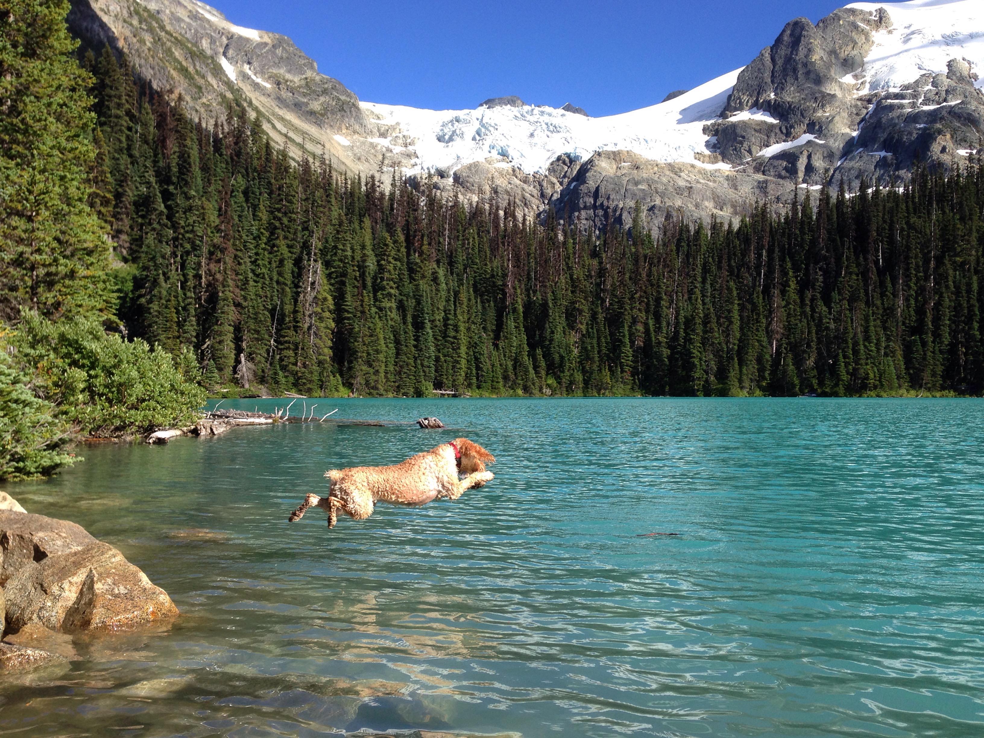 Rugby Jumping into One of the Joffre Lakes