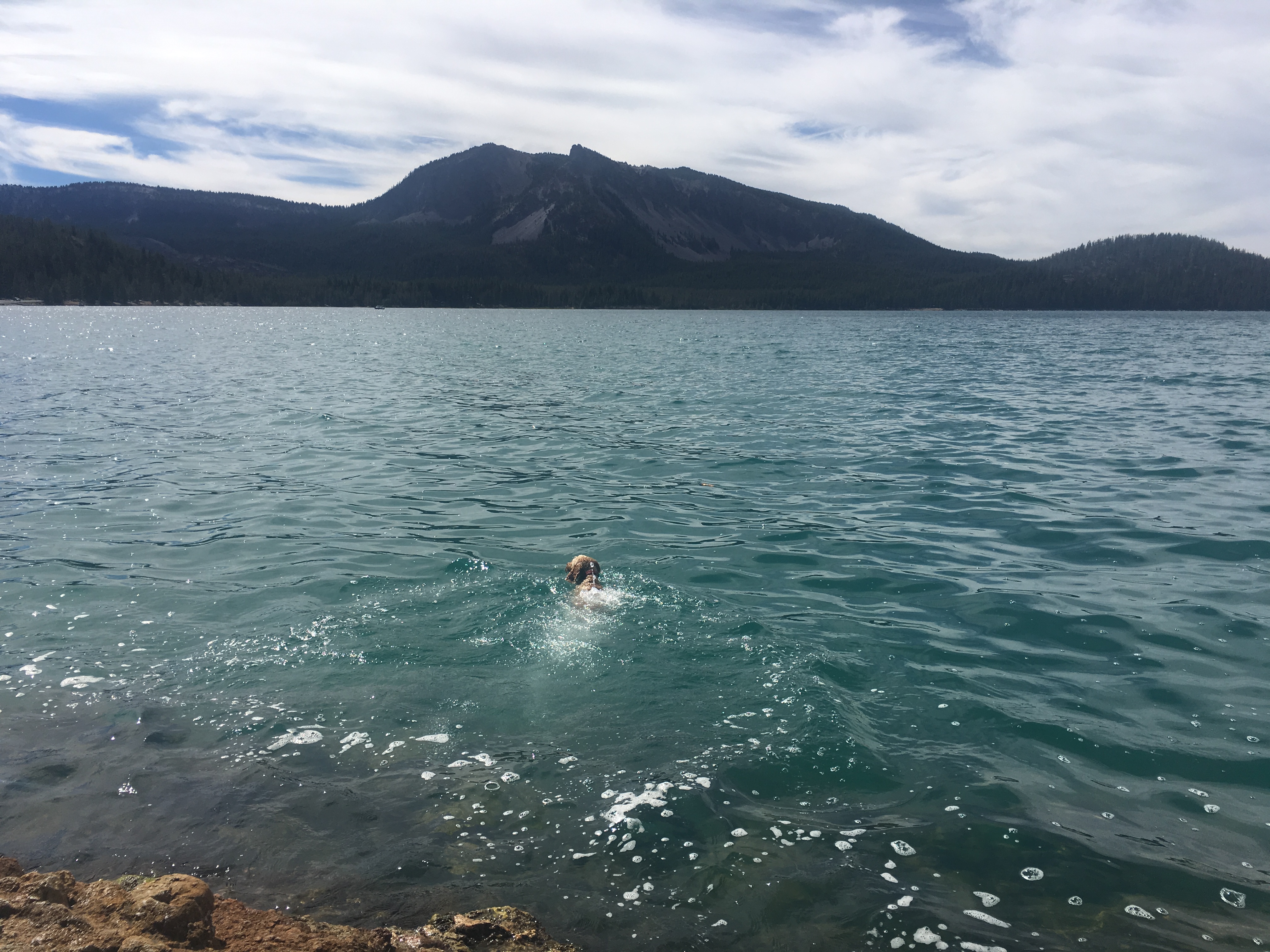 Rugby Swimming in East Lake in Newberry Volcano