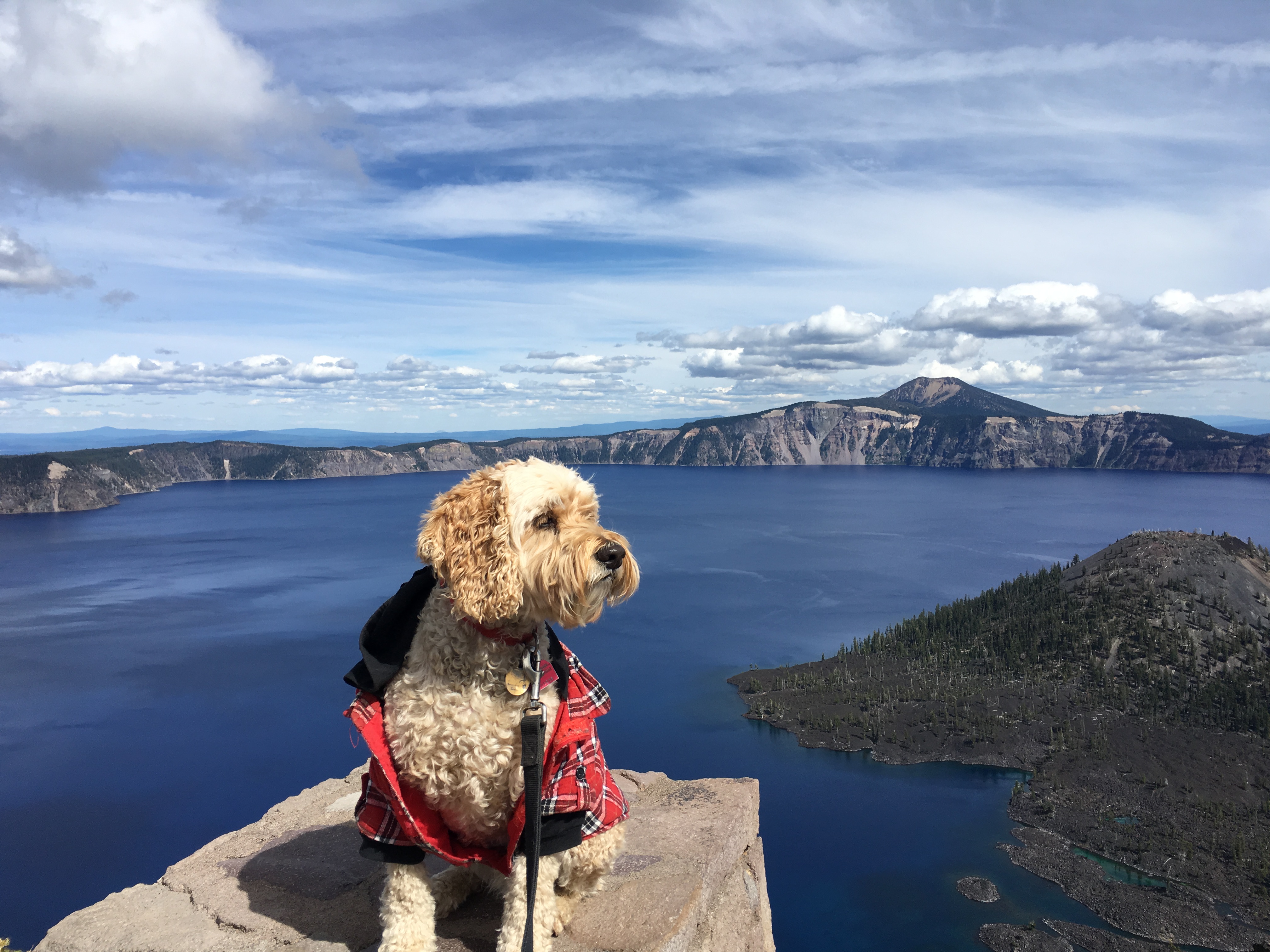 Rugby Unimpressed with Crater Lake