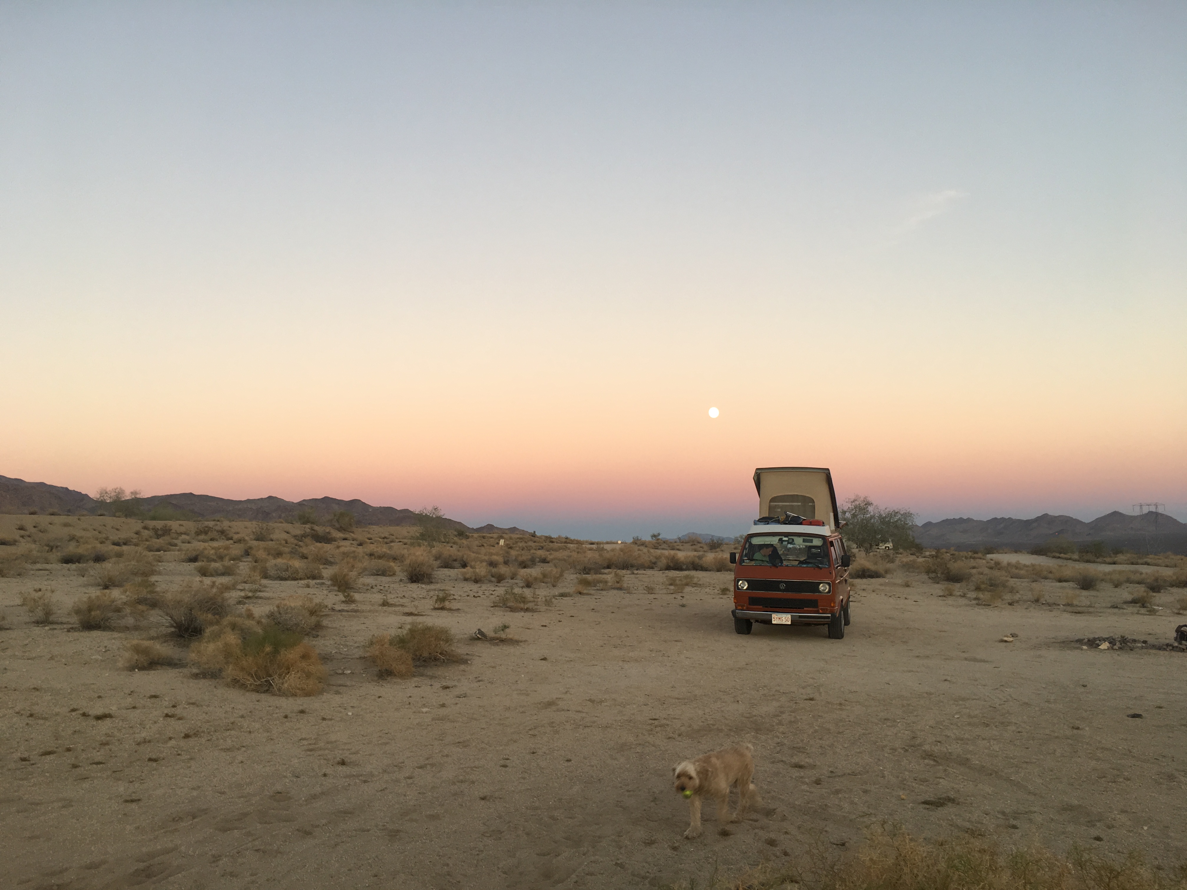 Rugby and the Sunset Outside Joshua Tree