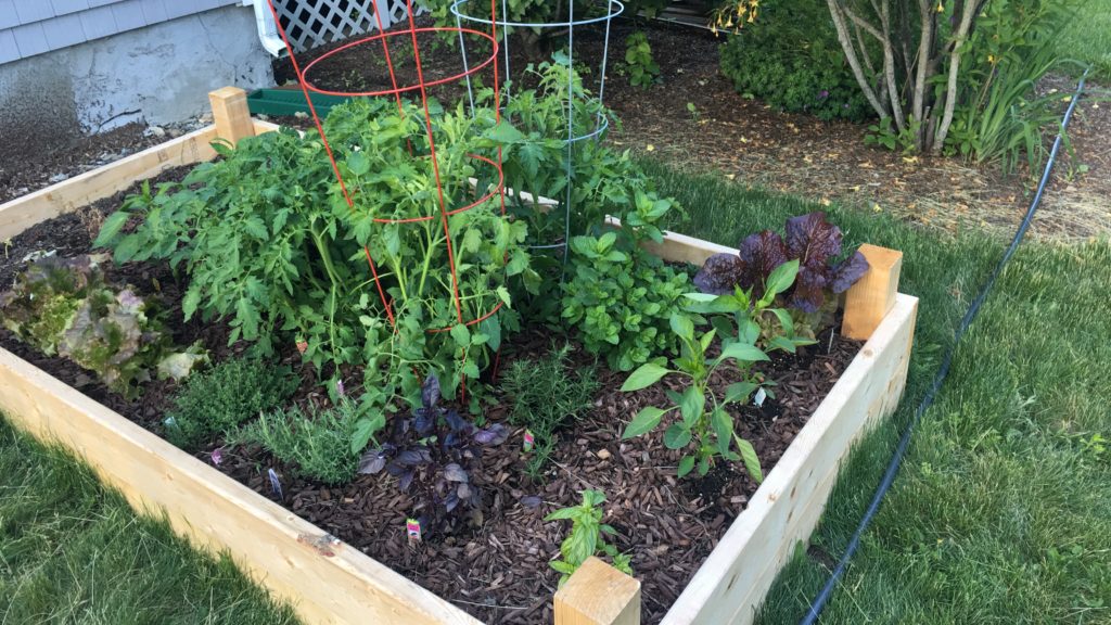 Raised Bed