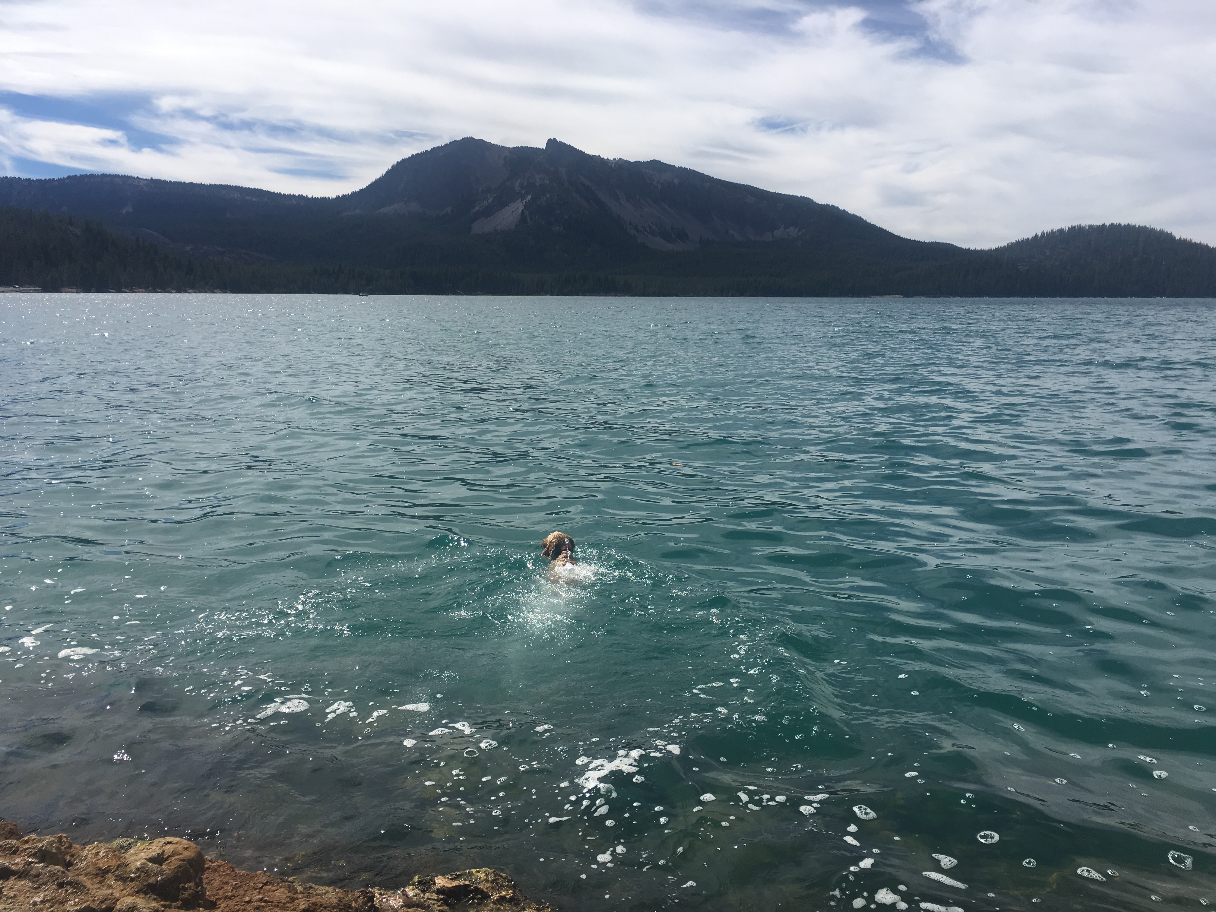 Rugby Swimming in East Lake in Newberry Volcano